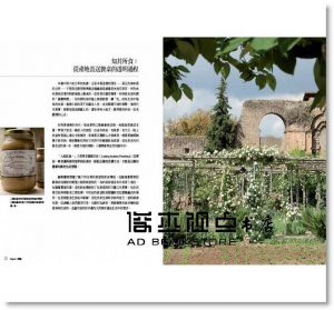 亞曼多‧麥諾斯《走進義大利修道院膳食祕密花園：聖堂祕境之旅，心靈與舌尖的流動饗宴及傳承千年的養生食譜》 [大好]
