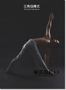 现货 宇色《靈修訓體與瑜伽的精采對話：靈動、脈輪、炁感與亢達里尼背後隱藏的共同祕密》柿子文化 