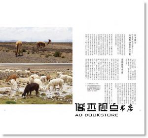 康雅筑《織物地圖2：羊毛、紡線、古文明織出的秘魯纖維工藝》田園城市