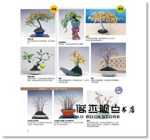群境介《打造我的迷你盆栽樂園：13~15cm小巧尺寸，也能開花結果，展現各種迷人樣貌！》瑞昇