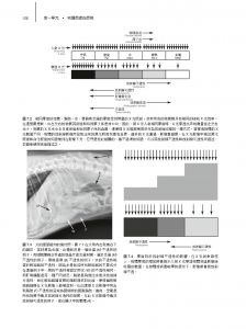  Donald E. Thrall 《獸醫放射診斷學 第七版》愛思唯爾  