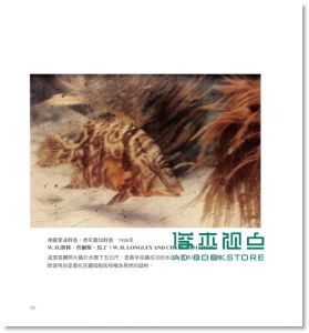 国家地理杂志百年摄影经典National Geographic: The Photographs