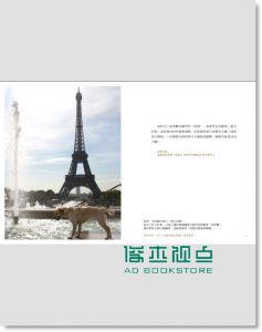 现货 我是氣質卡：專心堅持全力衝刺，狗日子萬歲13[圓神]