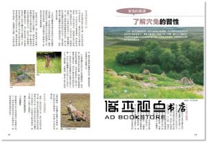 町田修《兔子解憂事典Q&A Select 280》麥浩斯