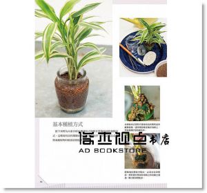 室內園藝綠化樂:五大類型室內植栽的管理小百科 [三悅]
