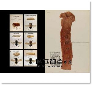 理查‧巴奈特《病玫瑰：354 幀影響現代醫療的疾病繪畫》麥田