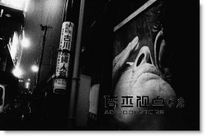 森山大道《犬的記憶》商周出版