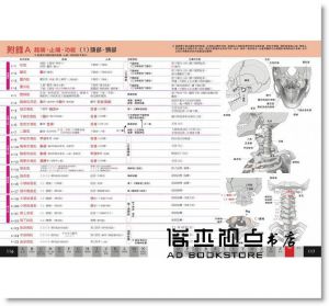 原島廣至《圖解：肌肉單字大全》楓書坊