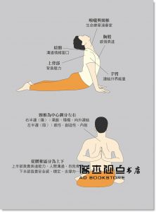 现货 宇色《靈修訓體與瑜伽的精采對話：靈動、脈輪、炁感與亢達里尼背後隱藏的共同祕密》柿子文化 