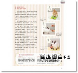 町田修《兔子的快樂遊戲書》漢欣
