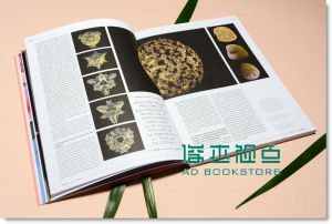 IdN Extra 11：《Cercle》昆虫：对话及图像