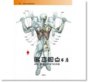 Frederic Delavier, Michael Gundill 《進階肌力訓練解剖聖經 (附健美肌肉解剖圖海報)》旗標