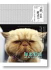 正版《拍貓，是很嚴肅的。：吳毅平15年貓寫真精選》流行風