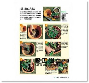 陽臺種菜 [康鑑文化][主婦之友社]