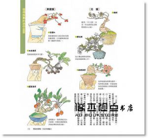 群境介《打造我的迷你盆栽樂園：13~15cm小巧尺寸，也能開花結果，展現各種迷人樣貌！》瑞昇