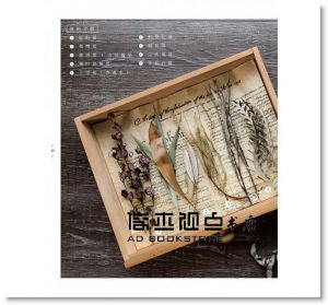 现货 kristen《綠色榖倉的創意書寫：自然的乾燥花草設計集》噴泉