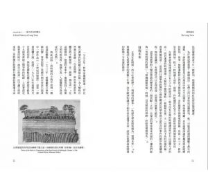 理查‧費雪 深時遠見：時間感如何影響決策，人類如何擺脫短期主義的危局 麥田