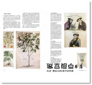 永原康史《資訊視覺化設計的潮流：資訊與圖解的近代史》雄獅美術