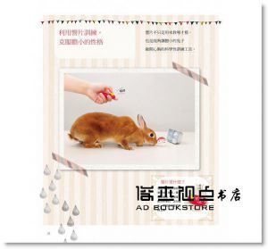町田修《兔子的快樂遊戲書》漢欣