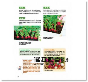 陽臺種菜 [康鑑文化][主婦之友社]