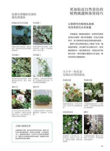 《夢幻園藝指南: 從一個小盆栽開始打造居家花草園》 教育之友