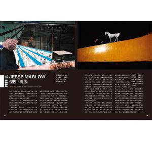  大衛・吉布森《街拍，玩攝影的第一課：值得一練的20個基本功，拍出你的風格與幽默》原點