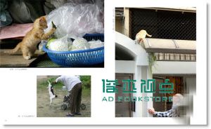 拍猫, 是很严肃的: 吴毅平15年猫写真精选