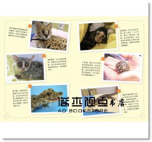 田向健一《動物醫生的熱血日記：貓咪、倉鼠到蜥蜴，66個最新奇動人的生命故事》 [商周]