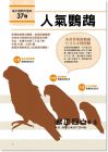 濱本麻衣《鳥類專科獸醫監修！鸚鵡飼育小百科：從飼育、訓練到與鸚鵡相伴一生》台灣東販