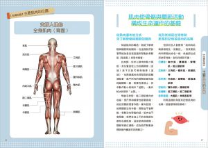 上原健志《肌肉骨骼解剖速查手冊：一頁一圖一肌群！快速掌握人體7大部位x100個肌肉知識，從健身運動到疼痛修復都能派上用場的實用指南》蘋果屋