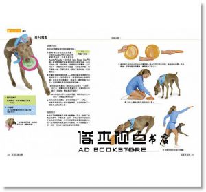 《狗狗訓練全書：101堂成長課，讓愛犬聰明聽話又貼心》 朱雀]