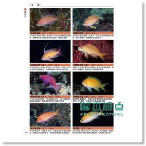 海水魚與海中生物完全圖鑑 15 [東販]