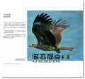 陳世一《鷹飛基隆：台灣最美的四季賞鷹秘境》 [新自然]