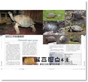 陸龜超圖鑑：物種解說、分類飼育方法完全收錄17[海老沼剛]東販