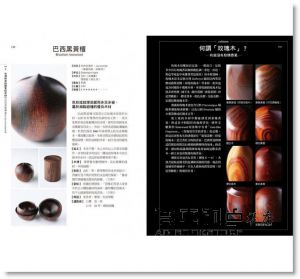 班‧紐曼《法國幼兒啟蒙記憶遊戲書2：交通工具》小光點 