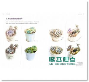 貓咪肉肉彩鉛國：一支筆、一盆多肉、一隻貓？！