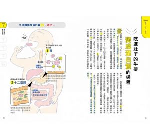 上西一弘(監修)  增肌減脂X穩定內分泌，蛋白質飲食全攻略：預防肌少症，對抗衰老、焦慮，照護全家身心的必備指南 墨刻 