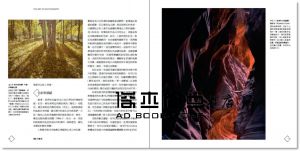 布魯斯‧巴恩博《攝影的藝術：追尋個人之道：攝影家的創作方法與視覺觀點》麥田