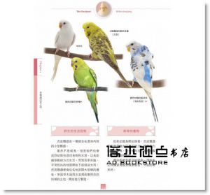 鈴木莉萌《開始養鸚鵡就上手》晨星