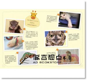 田向健一《動物醫生的熱血日記：貓咪、倉鼠到蜥蜴，66個最新奇動人的生命故事》 [商周]