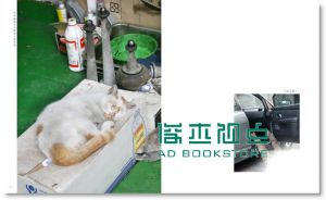 拍猫, 是很严肃的: 吴毅平15年猫写真精选