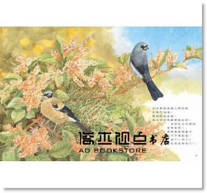 << 野鳥食堂(內含野鳥知識小百科)> >青林