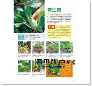 吉川泰正 《寶特瓶種植水耕蔬菜》 [康鑑]
