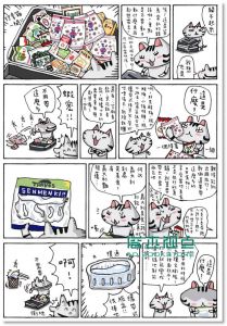 第一次出国就去意大利: 澎湃野吉旅行趣 1