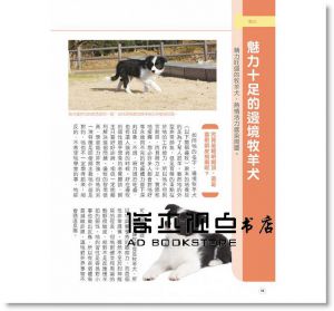 愛犬の友編集部《邊境牧羊犬教養小百科 世茂