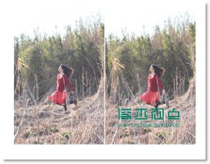 詹姆斯・沃曼《你怎麼過今天，就怎麼過今生：哈佛、康乃爾教授都在用的STORIES時間整理術，7個方法過更好的生活》先覺