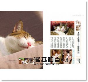 胡涓涓《溫柔陪在你身旁：Carol與14隻貓咪們的生活。日常。》日日學