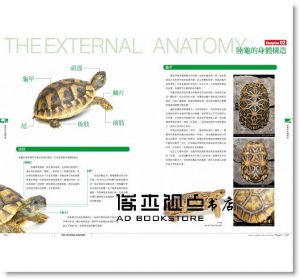 陸龜超圖鑑：物種解說、分類飼育方法完全收錄17[海老沼剛]東販