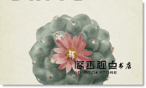 Lürzer's Archive 广告档案（英文版）NO.5/2017