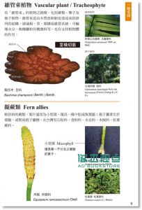 现货 植物學百科圖典2015全新修訂版15[貓頭鷹][彭鏡毅]目錄
